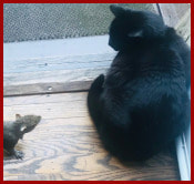 Fresh Prince of Darkness